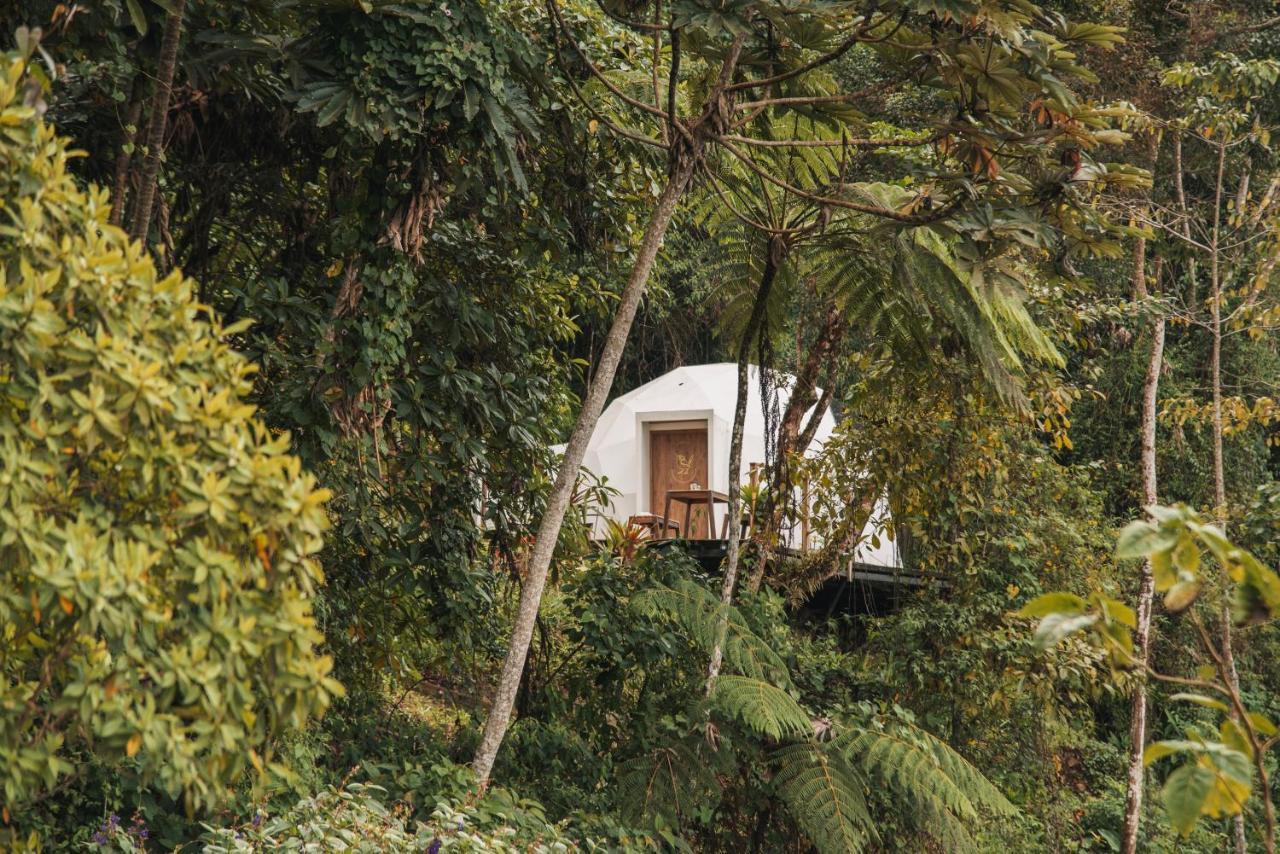 Vila Terramia Estate Minca Exteriér fotografie